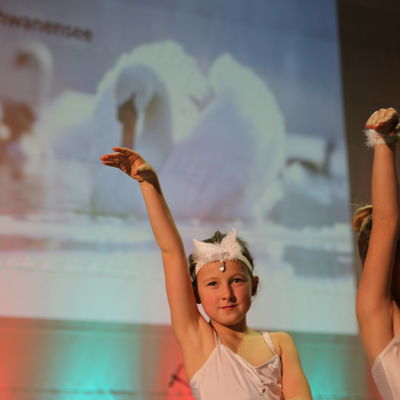 Schwanentanz beim Weihnachtskonzert 2017.